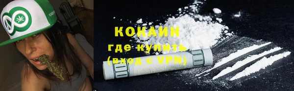 твердый Богданович
