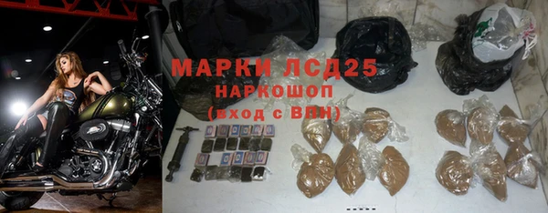 спайс Сосновка